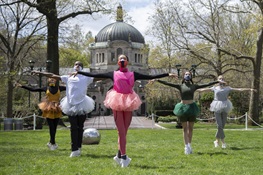 Bronx Zoo Hosts Musicians and Dancers from NYC Ballet for Special Earth Day Performances